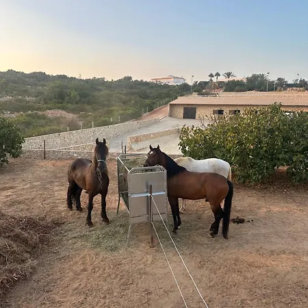 Algarve Casa Lusitana * فيريغودو